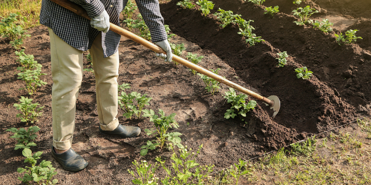 healthy gardening